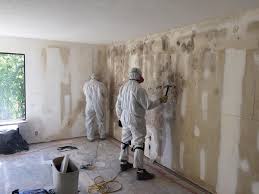 Best Industrial Mold Remediation in Taylorvle, IL